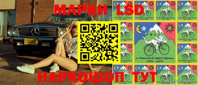 стафф Краснокаменск