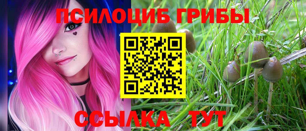 Галлюциногенные грибы Magic Shrooms  Вход с VPN  Галлюциногенные грибы Cubensis  Екатеринбург 